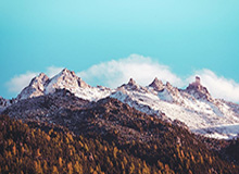 阿德巴约续约暗示字母留队？湖人已为2021完成布局